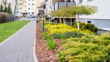 Fototapeta premium Luxury landscape design of the yard in Europe. Park outdoor landscape and exterior design. Green lawn, beautifully designed garden, territory near the house. Banner format.
