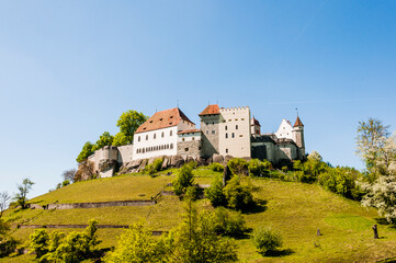 Lenzburg, Schloss, Höhenburg, Schlosshügel, Turm, Stadt, Aargau, Aussichtspunkt, Altstadt, Wanderweg, Wald, Felder, Landwirtschaft, Frühling, Schweiz