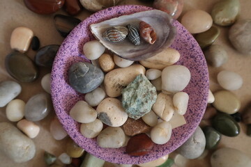 shells and stones