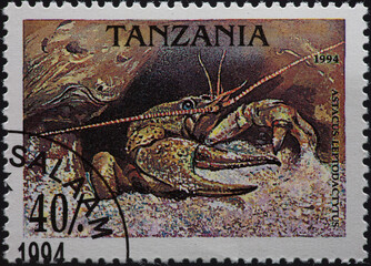 TANZANIA - CIRCA 1994: a postage stamp from TANZANIA, showing a Danube Crayfish (Astacus leptodactylus) crab. Circa 1994