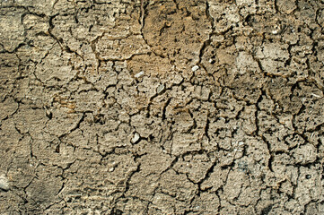 Dry land covered with small cracks as a concept of drought and global warming. Cracked soil texture or ground pattern with cracks on the surface, top view