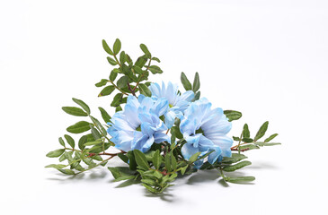 Fototapeta premium Aesthetic composition of blue flowers with branches isolated on white background