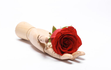 Wooden hand holding red rose flower isolated on white background