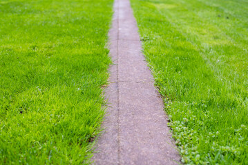 Green lawn and stone path. Close up