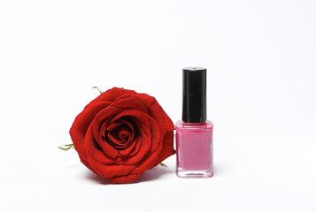 Obraz na płótnie Canvas Beauty still life. Pink Nail polish bottle with rose bud isolated on white background