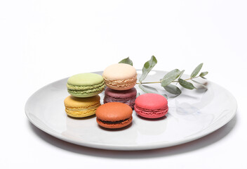 Colored macarons on a plate with sprig of eucalyptus isolated on white background