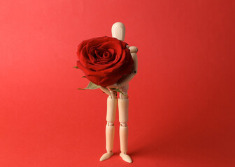 Romantic concept. Wooden puppet holding  red rose on red background