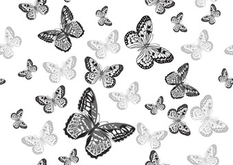 Seamless pattern with butterflies. Hand drawn butterflies on white backround. Vector illustration. Vintage engraving style. Design for print, textile and digital paper.