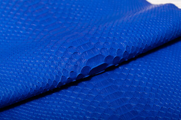 blue dyed genuine natural python leather on the wooden table	
