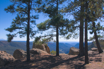 SantaFe National Forest Overlook.