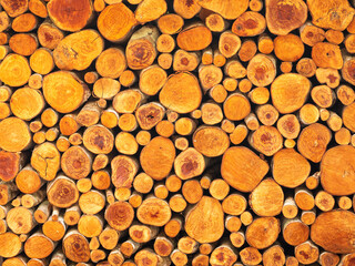 Wall of fire wood or logs