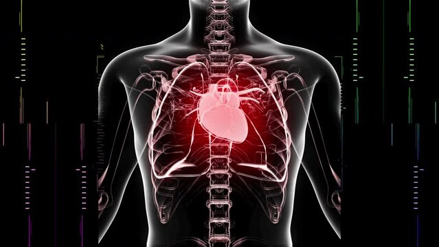 Animated Heart Pumping Actions: A Captivating Visualization of the Life-Giving Beat