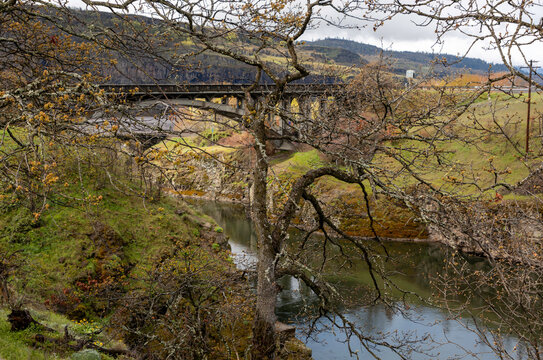 bridge over the river