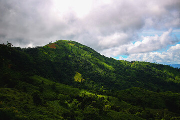 each fresh peak ascended teaches something