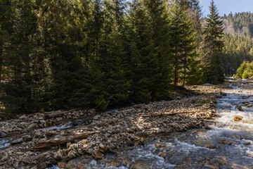 Stones and forest on shore near mountain river.