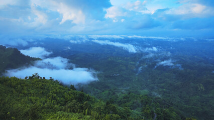 Naklejka premium look deep into nature