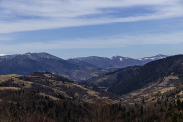 Scenic view of spruce trees on hills and mountains at background.