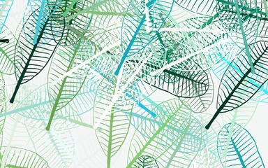 Light Blue, Green vector elegant background with leaves.