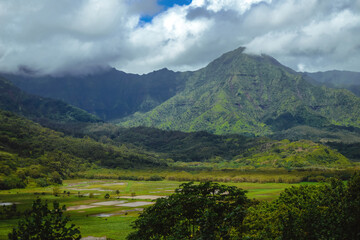 The beautiful lush jungles of Kauai, Hawaii, with green mountains rising in the distance underneath a cloudy sky, near Hanalei - obrazy, fototapety, plakaty