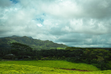 The beautiful lush jungles of Kauai, Hawaii, with green mountains rising in the distance underneath a cloudy sky, near Hanalei
