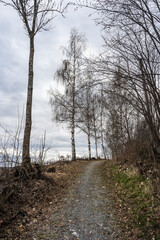 A path in the cultural landscape of Toten, Norway, in spring.
