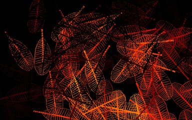Dark Orange vector doodle background with leaves.