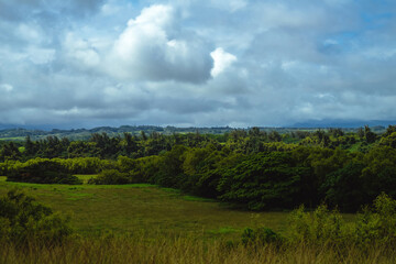Fototapeta na wymiar Mist and low clouds hang over the beautiful green mountains of Kipu on the Hawaiian Island of Kauai