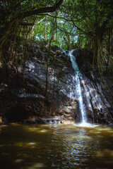 Small, gently flowing jungle waterfall deep in the forest on the Kipu Ranch on the Hawaiian island of Kauai, surrounded by lush tropical foliage and descending into a bright green natural pond