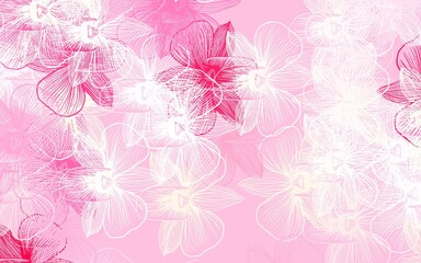 Fototapeta premium Light Red vector doodle background with flowers.