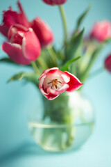 Vertical photography of tulips in bouquet,staying in vase.