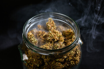 marijuana bud is the harvested flower, female cannabis plant