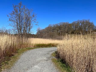Idyllic hiking through botanical garden Milde outside Bergen Norway