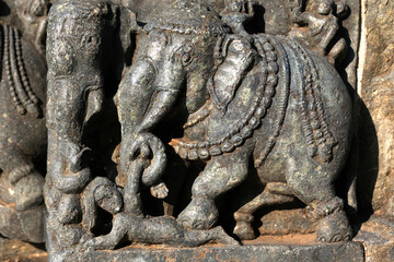Fototapeta na wymiar Sculptures on the outer walls of Hoysaleswara Temple at Halebidu, the former capital of the Hoysala, Karnataka.