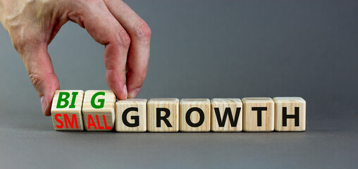 Big or small growth symbol. Businessman turns wooden cubes and changes words Small growth to Big growth. Beautiful grey table grey background, copy space. Business big or small growth concept.