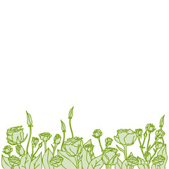 Floral pattern for background or postcard. At the bottom - monochrome green roses, on top - clean. Vector graphic.