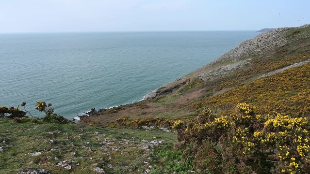 Waling the Gower coastline in Wales