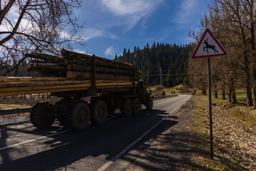 Obraz premium Truck with wooden logs on road near road sign in mountains.