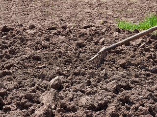Manual tillage. Preparing the soil for planting.