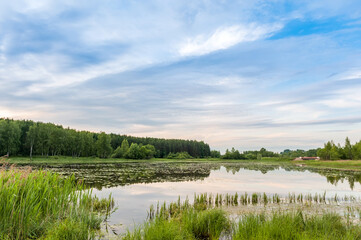 Summer landscape. Lake, forest and blue sky with beautiful clouds.
