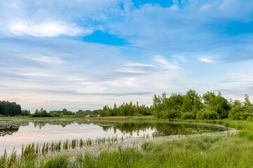 Summer landscape. Lake, forest and blue sky with beautiful clouds.
