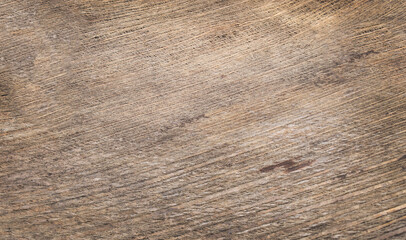 texture background with dry palm leave surface