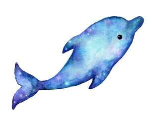 dolphin watercolor drawing character on white background for print