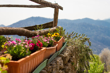 flower pots on stonewall