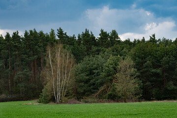 Polana © Grzegorz
