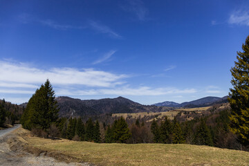 Fototapeta na wymiar Mountains with trees and blue sky with clouds at background.