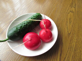 Radish and cucumber on the saucer