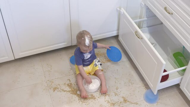 Child covered in flour playing in the kitchen, infant surrounded by scattered groats making mess on the floor. One year old baby boy learn exploring environment. High quality 4k footage