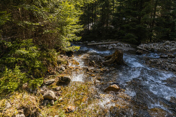 High angle view of mountain river with stones in forest.