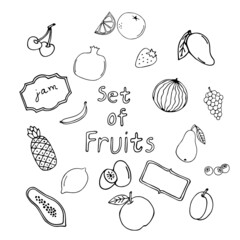 Doodle food set icon isolated on white background. Hand drawing line art. Sketch of fruits. Vector illustration. Hand drawn fruits doodle set.