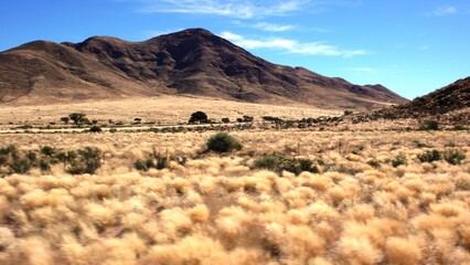 Namibia 98